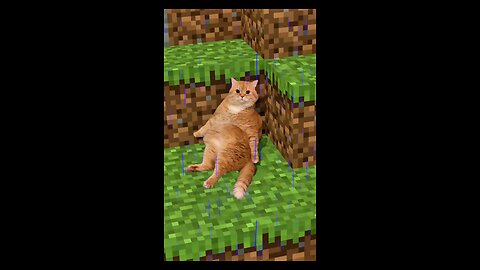 Save the cat from rain