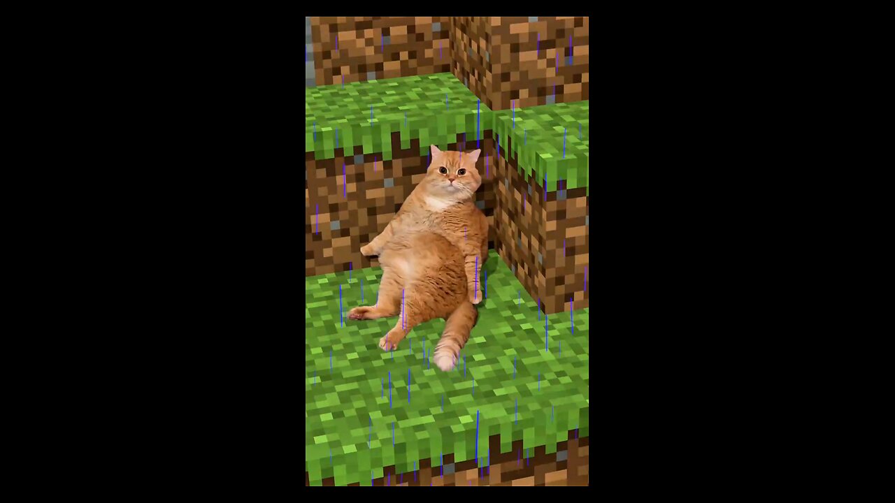 Save the cat from rain