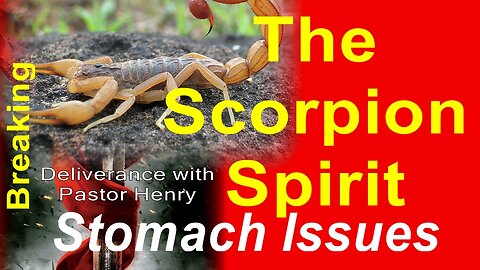 The Scorpion Spirit