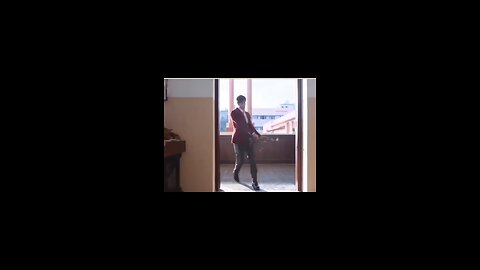 Animal movie 🎥 clips videos