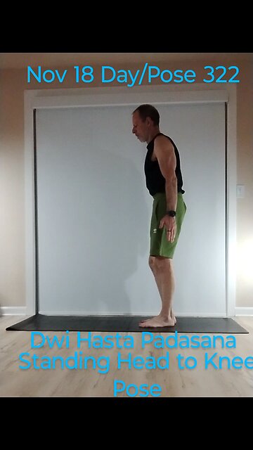 Dwi Hasta Padasana / Standing Head to Knee Pose