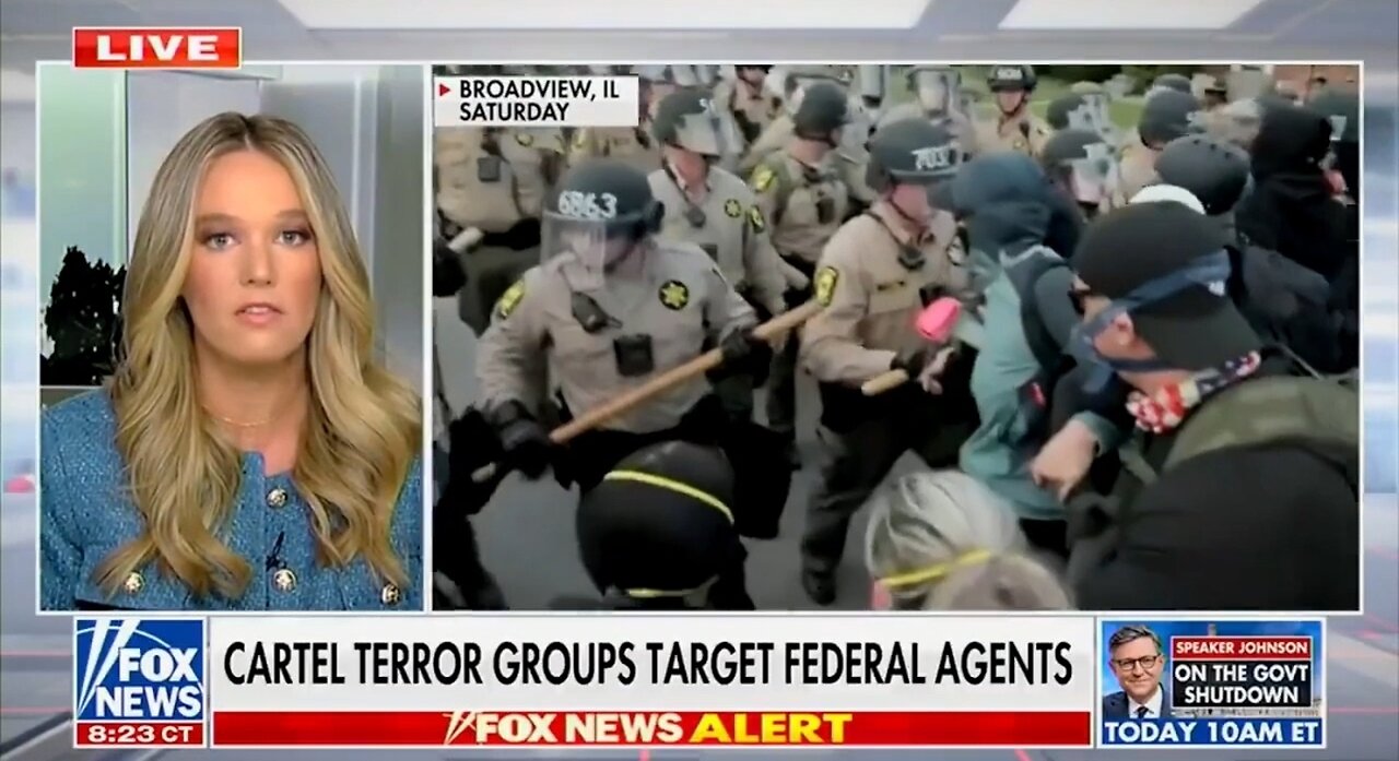DHS Assistant Sec: Foreign Terrorist Networks Are Waging War In Chicago