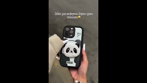 New Iphone panda case