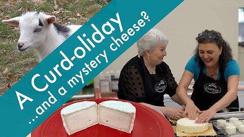 Try a Cheese Vacation & Guess this Mystery Cheese!