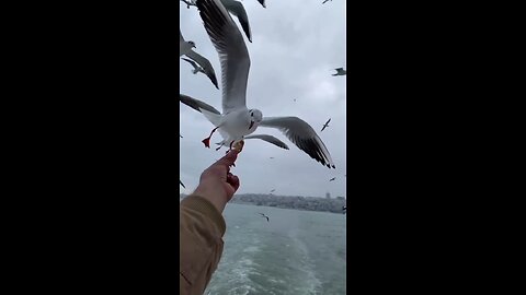 Please help me to save a little money. I live in a cold, uninhabitable house. 🙏🏻😢