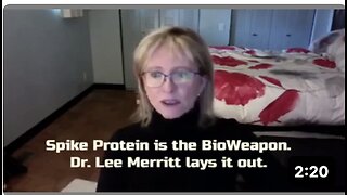 Spike Protein is the BioWeapon. Dr. 'Lee Merritt' lays it out.