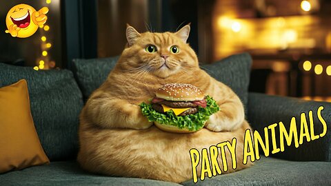 Funny Animals Videos: Funniest Cats & Dogs Moments | Cute & Hilarious Pets!