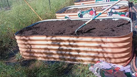 Time to plant carrots!