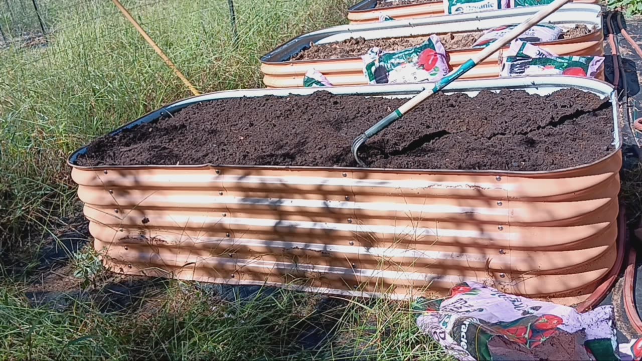 Time to plant carrots!