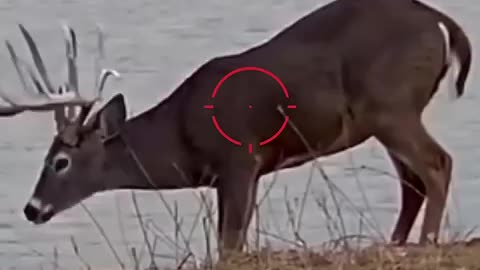 Shocking: .30-06💥👊🏽PUNCHES | Deer Hunting #texas #viral #caceria #deerhunting #s