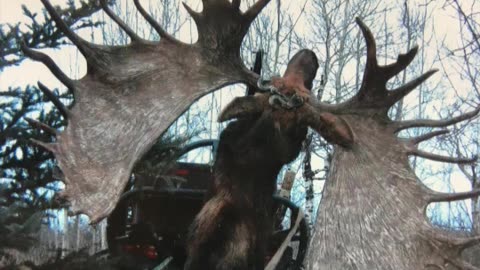 Moose racks are HEAVY