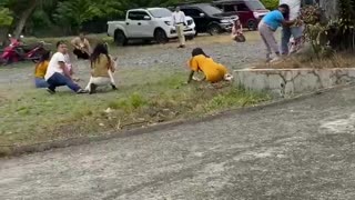 The moment a wedding was interrupted as the M7.4 earthquake hit the Philippines.