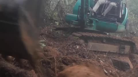 Would YOU Do This Job? Excavator Cutting a Road Into a Steep Forest Mountain!