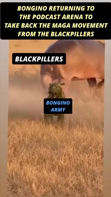 The Bongino Army has returned!