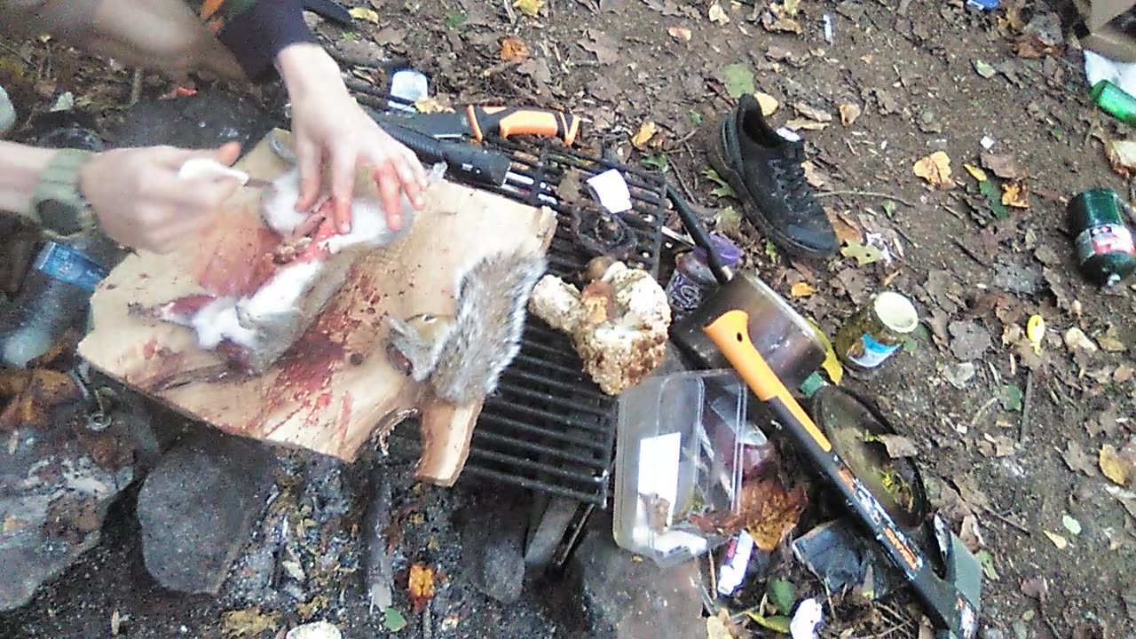 How to Skin a Squirrel