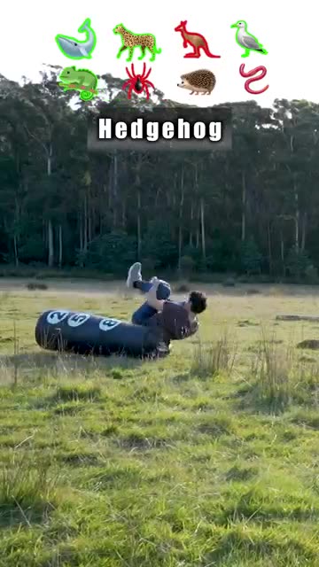 How different animals fight. (with emojis)