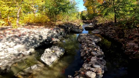 ☀️2024🌴10-05🚶Hiking Season Fall Edition In Ottawa🍂🍃🍄Collecting Mushrooms in The Forest 🍁Canada 🍎