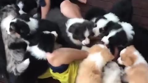 A New Kind of Therapy. Love it.