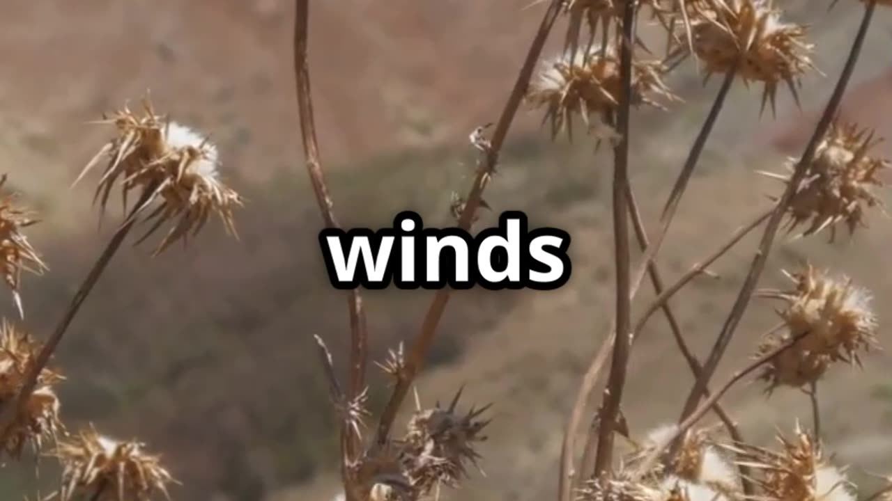 San Diego Heat Advisory: What You Need to Know