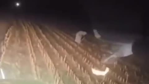 😨👻 Is This a Jinn or a Trick of the Light? | TheHauntingHour