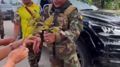 🪖 Myanmar War | BGF Troops Join Junta Offensive in Myawaddy | RCF