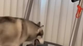 News Break