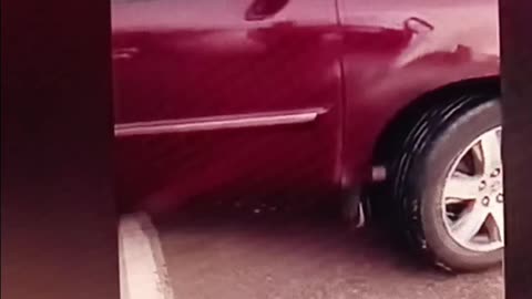 Georgina Floyd footage from ice's perspective