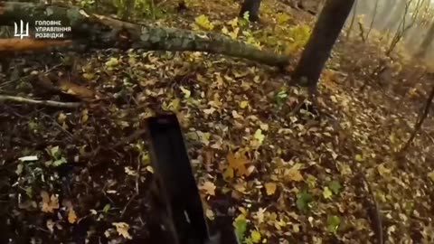 Incredible Footage of a Raid on Russian Positions Around Lyman from a Ukrainian Machine Gunner