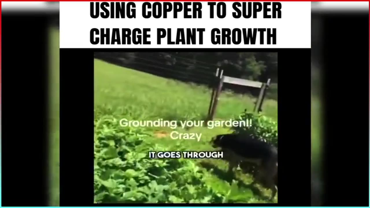 Demo of ancient method to supercharge plant growth...