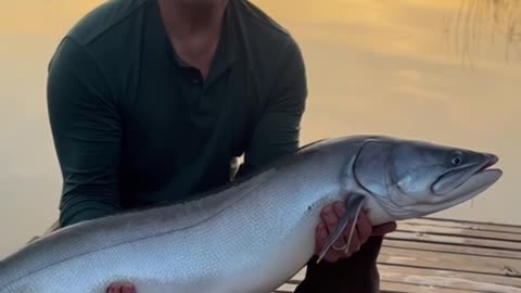 “The Biggest Fish Ever Caught! 😱 The Fisherman’s Epic Battle with Nature 🎣🔥 2