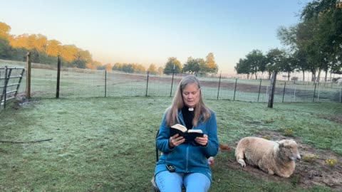 Morning Prayer,Daily office