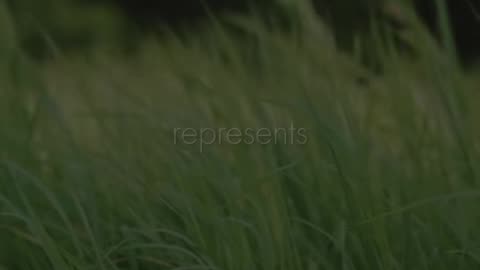 🌟📖 Prayer for the Month of April | A Blessing for the Journey | InGodWeTrustDaily