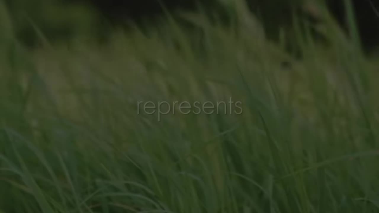 🌟📖 Prayer for the Month of April | A Blessing for the Journey | InGodWeTrustDaily