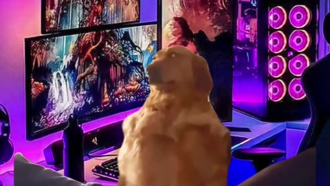 It's never just one more game...