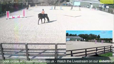 Mousehold Farm All Weather Riding arena