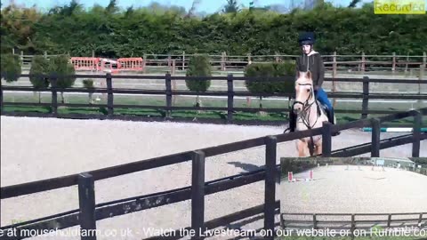 Mousehold Farm All Weather Riding arena