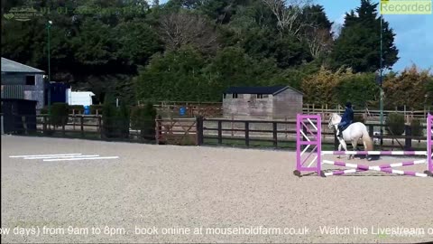 Mousehold Farm All Weather Riding arena