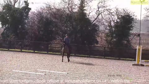 Mousehold Farm All Weather Riding arena