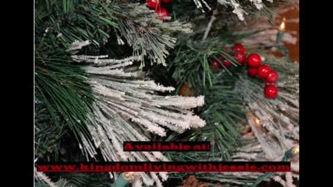 Christmas Book Gift Ideas