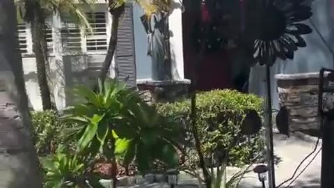 😮🎃 The Scariest Halloween Decoration You'll Ever See! | FeedMyCuriosity