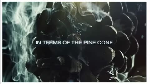 Pineal Gland-->Pine Cone-->Vatican ..