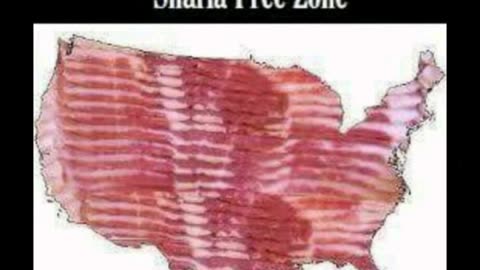 113025 Terry Reports - Political TRIGGER WARNING!