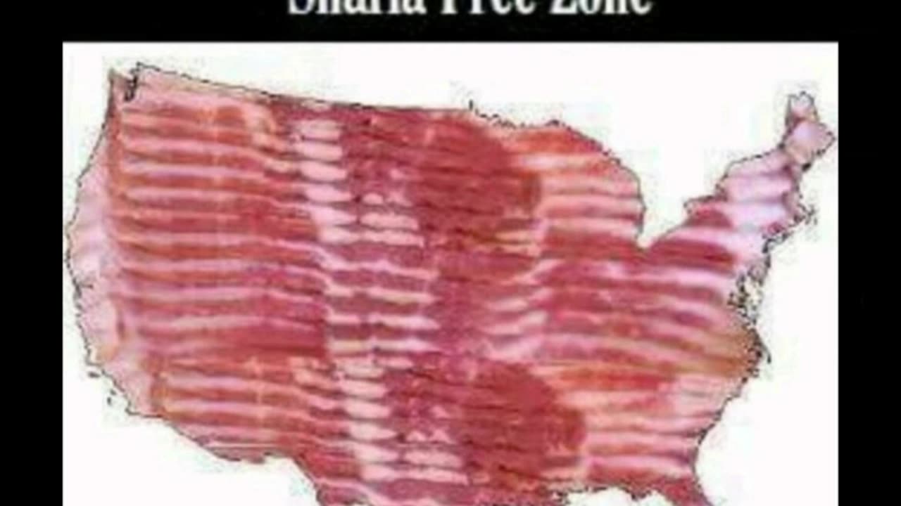 113025 Terry Reports - Political TRIGGER WARNING!