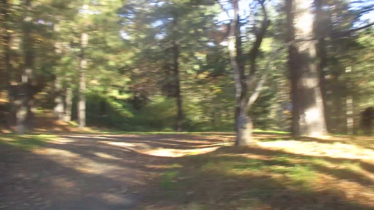 California Rest Stop. 11/24/2025