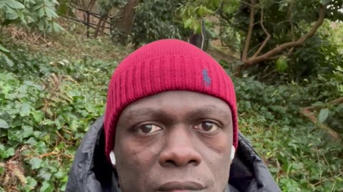 I don't know who needs to hear this, but if you want to win, you can't be afraid to fail.