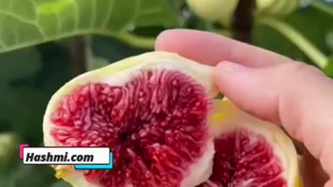 Anjeer aur Moongfali Health Hack