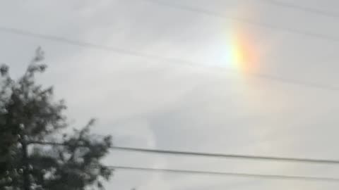 Sun Dog