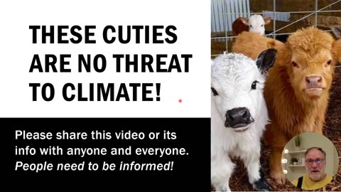 Cows are No Threat to Climate (Climate lesson 7)