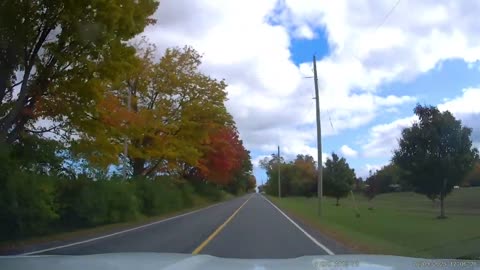 [4K] Georgina, Ontario! #1 "Fall" Driving to Homestead Orchard, ON. CA.
