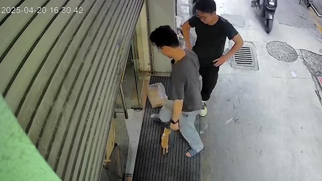 Caught in 4K! Funniest Security Camera Fails